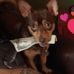 Profile Picture of Latisha Foster (@latisha.foster.376) on Facebook
