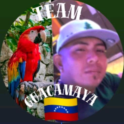 Profile Picture of Richard Fernández (@richard.fernanda2) on Tiktok