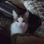 Profile Picture of Gary Headley (@gary.headley.332) on Instagram