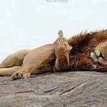 Profile Picture of carlosrobleto (@carlosrobleto4741) on Instagram