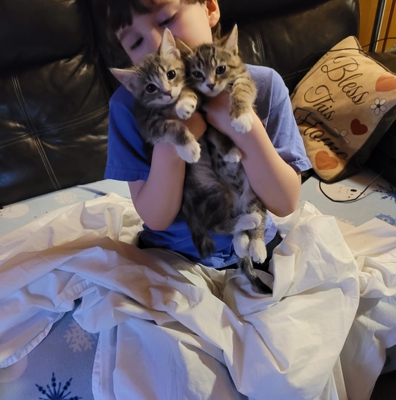 Profile Picture of Kathyleen Beauchene (@kbeauchene57) on Poshmark