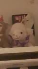 Profile Picture of   menkää seuraa mun uutta tt... (@lyn_julia) on Tiktok