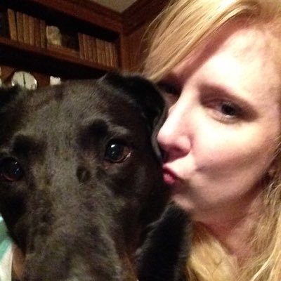 Profile Picture of BookHermitt (@BookHermitt) on Twitter