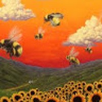 Profile Picture of Jonathan Berumen (@jonathan-berumen-12) on Quora