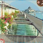 Profile Picture of 이현섭 (@chumouss943) on Instagram