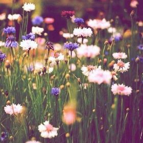 Profile Picture of Samantha (@sambaldoni10) on Pinterest