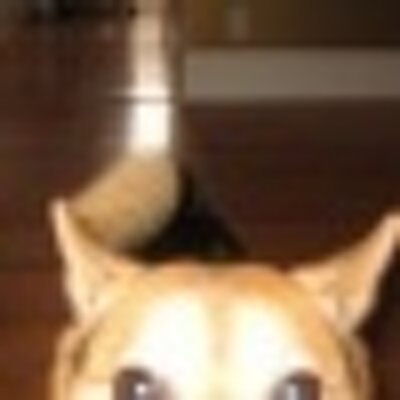 Profile Picture of Sandra Melnyczenko (@redeyedye) on Twitter