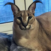 Profile Picture of Tristan Finch (@tweakeax557) on Youtube