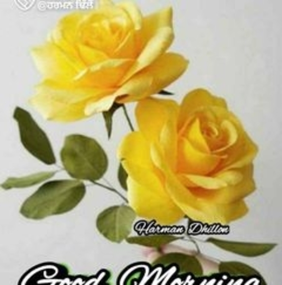 Profile Picture of Avtar Khatra (@avtarkhatra) on Poshmark