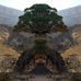 Profile Picture of Sam Hamdan (@sam.hamdan.737) on Facebook