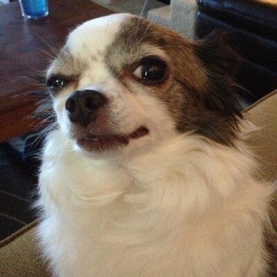 Profile Picture of Lisa.Albert.Barden (@lisabigalbarden) on Twitter