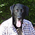 Profile Picture of Evan Smith (@evan_smith) on Flickr