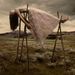 Profile Picture of Ronda Bruce (@rondascasa) on Pinterest