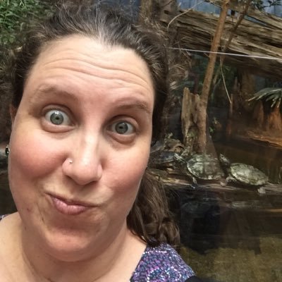 Profile Picture of Stacey Blanton (@brazenstitchery) on Twitter