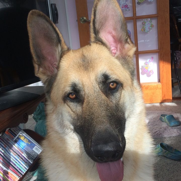 Profile Picture of Derek Smith (@dereksmith557) on Tiktok