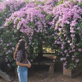 Profile Picture of Sneha Jain (@snehajain4613) on Pinterest