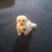 Profile Picture of George Heeter (@george.heeter.1) on Facebook