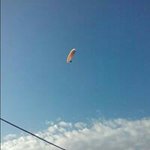 Profile Picture of Roger Potts (@pottsroger) on Instagram