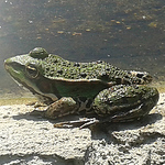 Profile Picture of Michaela King (@questmaster2.0) on Flickr