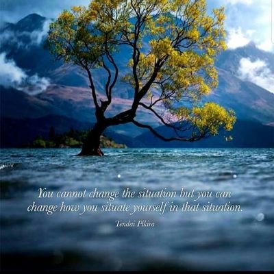 Shazia Zulfiqar - Twitter Profile Picture of Shazia Zulfiqar (@shaziaZulfiqar5) on Twitter