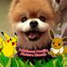Profile Picture of Dani Bryan (@dani.bryan.9465) on Facebook