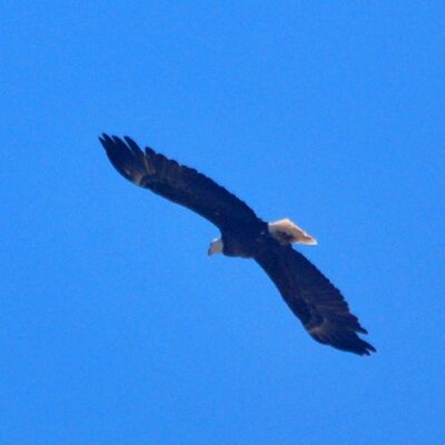 Kurt Von Dietsch - Twitter Profile Picture of Kurt Von Dietsch (@KurtVonDphotos) on Twitter