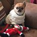 Profile Picture of Carol Diffley (@carol.diffley.9) on Facebook