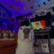 Profile Picture of Daniel Bures (@DanielBures-b6d) on Youtube