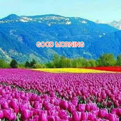 Profile Picture of Prasanna Narayanan Palliyath (@prasannanarayananpalliyath2139) on Youtube