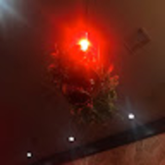 Alex Ruppe - Poshmark Profile Picture of Alex Ruppe (@ar0504viva) on Poshmark