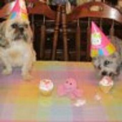 Profile Picture of Lori Goldman-Longo (@latelori09) on Twitter