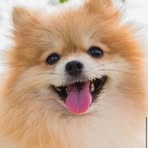 Profile Picture of Robert Lewek (@robert.lewek.16) on Facebook