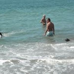 Profile Picture of Nathaniel Lindsay (@nathaniellindsay03) on Myspace