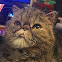 Profile Picture of Kimberly Hinkle (@kimberly-hinkle-13) on Quora