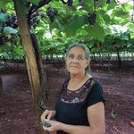 Profile Picture of Dinair Dos Santos Beloti (@dinairdossantosbeloti) on Instagram