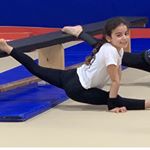 Profile Picture of Michaelgolan_ (@_michaelgolan) on Instagram