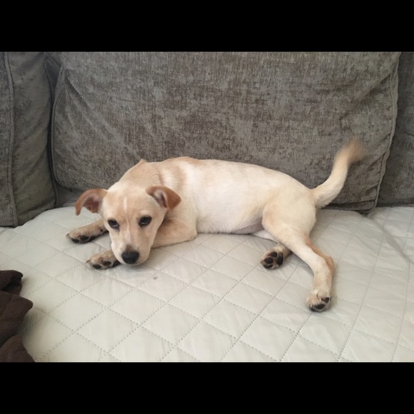 Profile Picture of Meghan Sleibi (@meghan161) on Poshmark