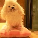 Profile Picture of Alex Heathcote (@alexvbheathcote) on Instagram