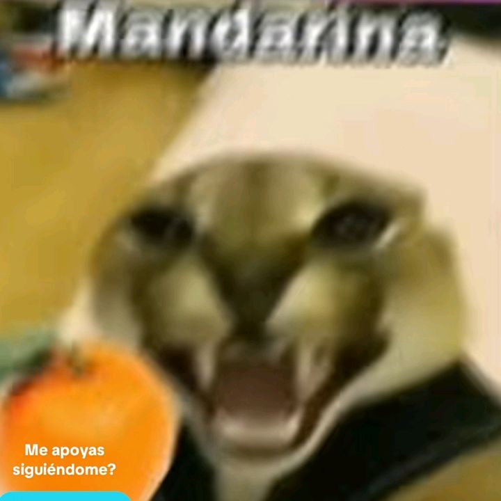 Profile Picture of Fabian Maya (@fabian.maya1) on Tiktok