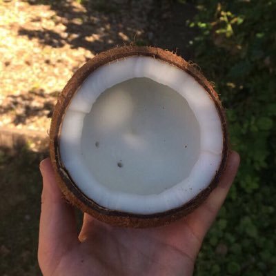 Profile Picture of Maddy Stephens (@maddyroseste) on Twitter