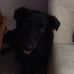 Profile Picture of Frederick Vollmer (@frederick.vollmer.1) on Facebook