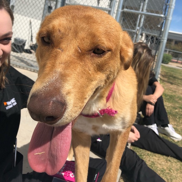 Profile Picture of Jalen Pasillas (@jalen_p10) on Poshmark