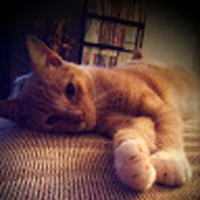 Profile Picture of Stephanie Salvate (@stephanie-salvate) on Quora