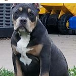 Profile Picture of blake Gilbert (@blakegilbert76) on Instagram