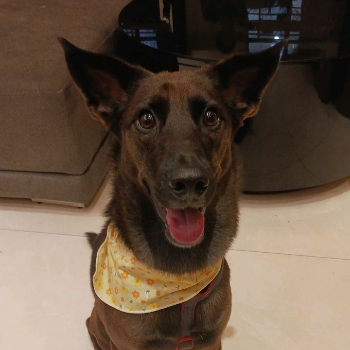 Profile Picture of Janet Liu (@janetliu09) on Tiktok