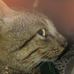 Profile Picture of Catty Gans (@catty.gans) on Facebook
