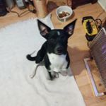 ian straight - Instagram Profile Picture of ian straight (@straightia_n) on Instagram