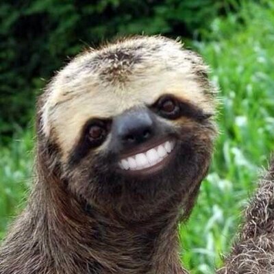 Josh Salisbury - Twitter Profile Picture of Josh Salisbury (@saggy_salisbury) on Twitter