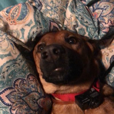 Profile Picture of Charles Mchale (@cmchale1998) on Twitter