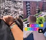 Profile Picture of   duetto con @tottaforno 💚 (@elenacardillo2) on Tiktok